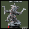 Orck Stormcrow Boy